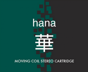 logo Hana